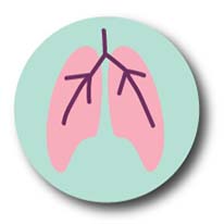 Illustration of lungs on top of a mint green circular background.
